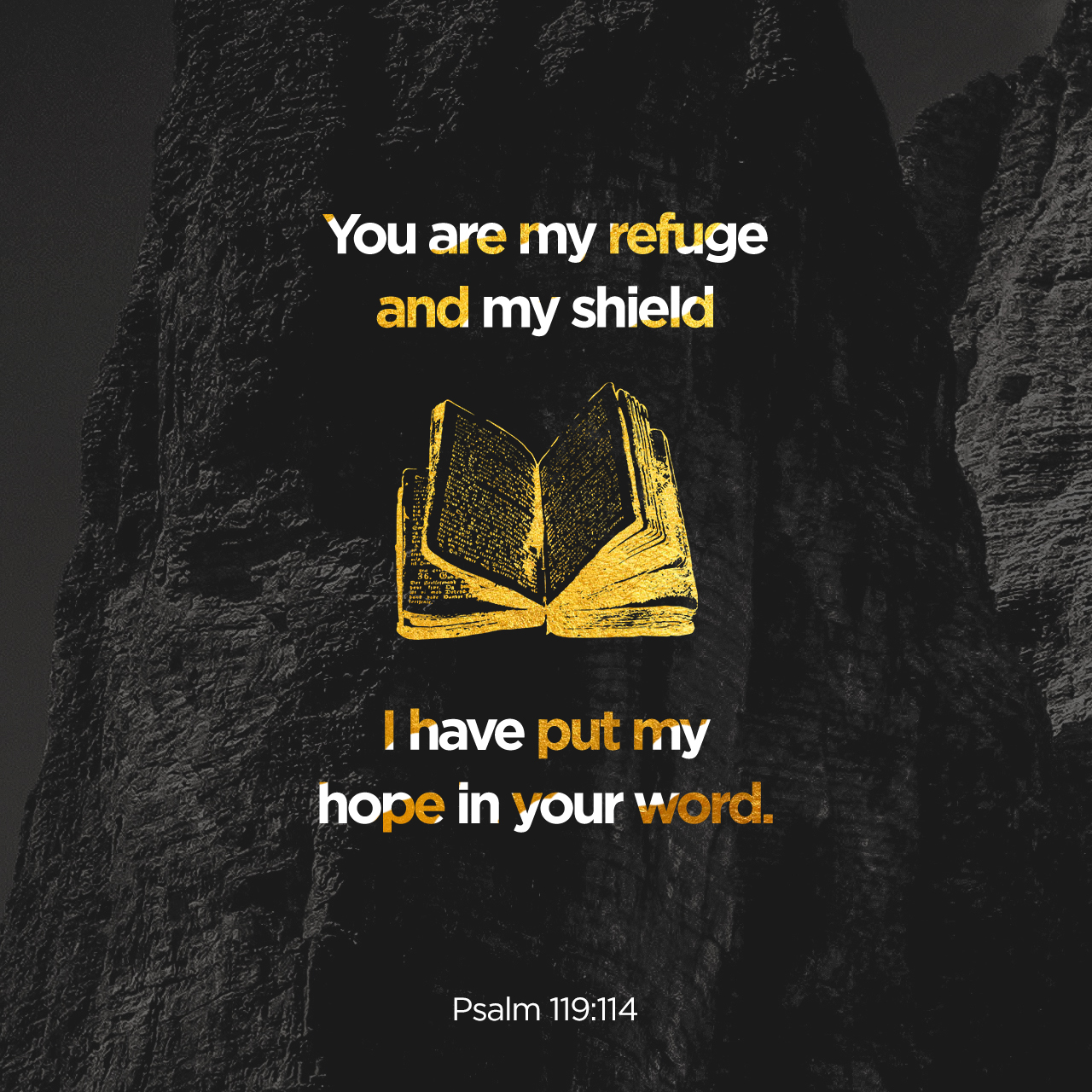 Psalms 119 verse 114 reads, "You are my refuge and my shield. I have put my hope in your word."